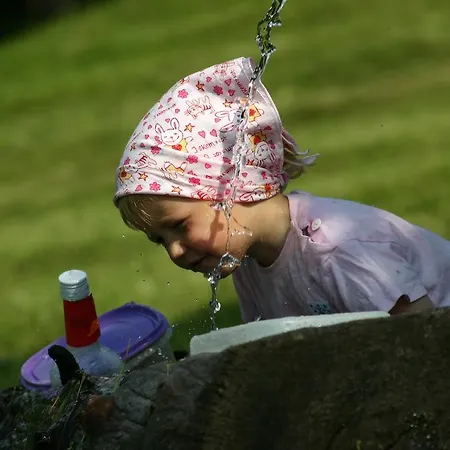 Bauernhof Im Wiesengrund Appartement Maria Luggau
