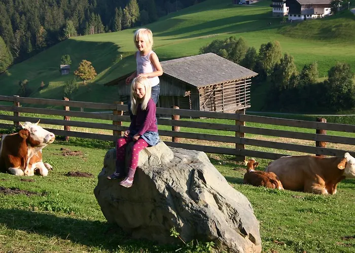 Bauernhof Im Wiesengrund Appartement Maria Luggau