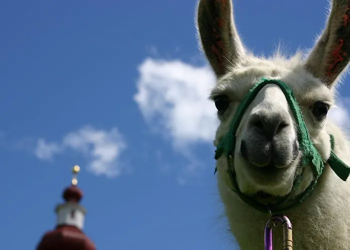 Bauernhof Im Wiesengrund *